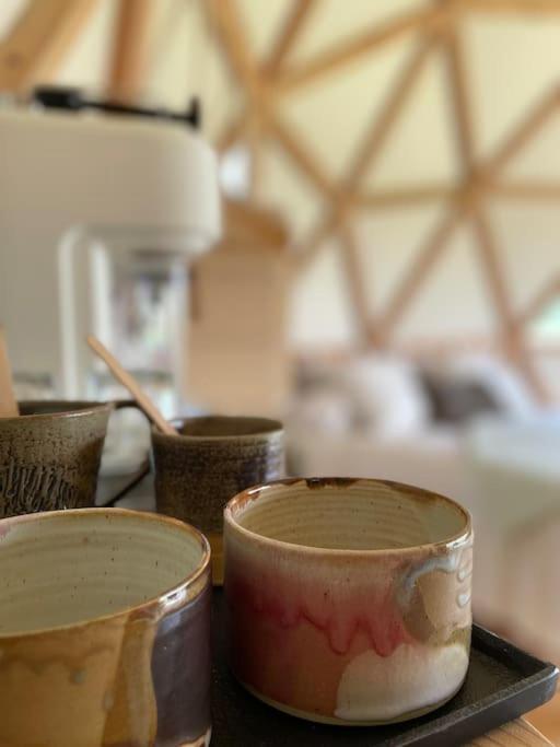 Dome Insolite Lichen Jacuzzi Et Petits-Dejeuners Inclus Gondrin Luaran gambar