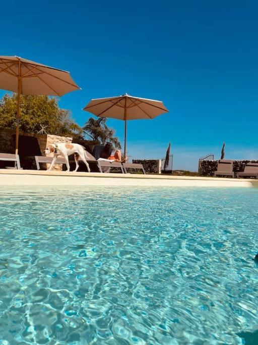 Dome Insolite Lichen Jacuzzi Et Petits-Dejeuners Inclus Gondrin Luaran gambar